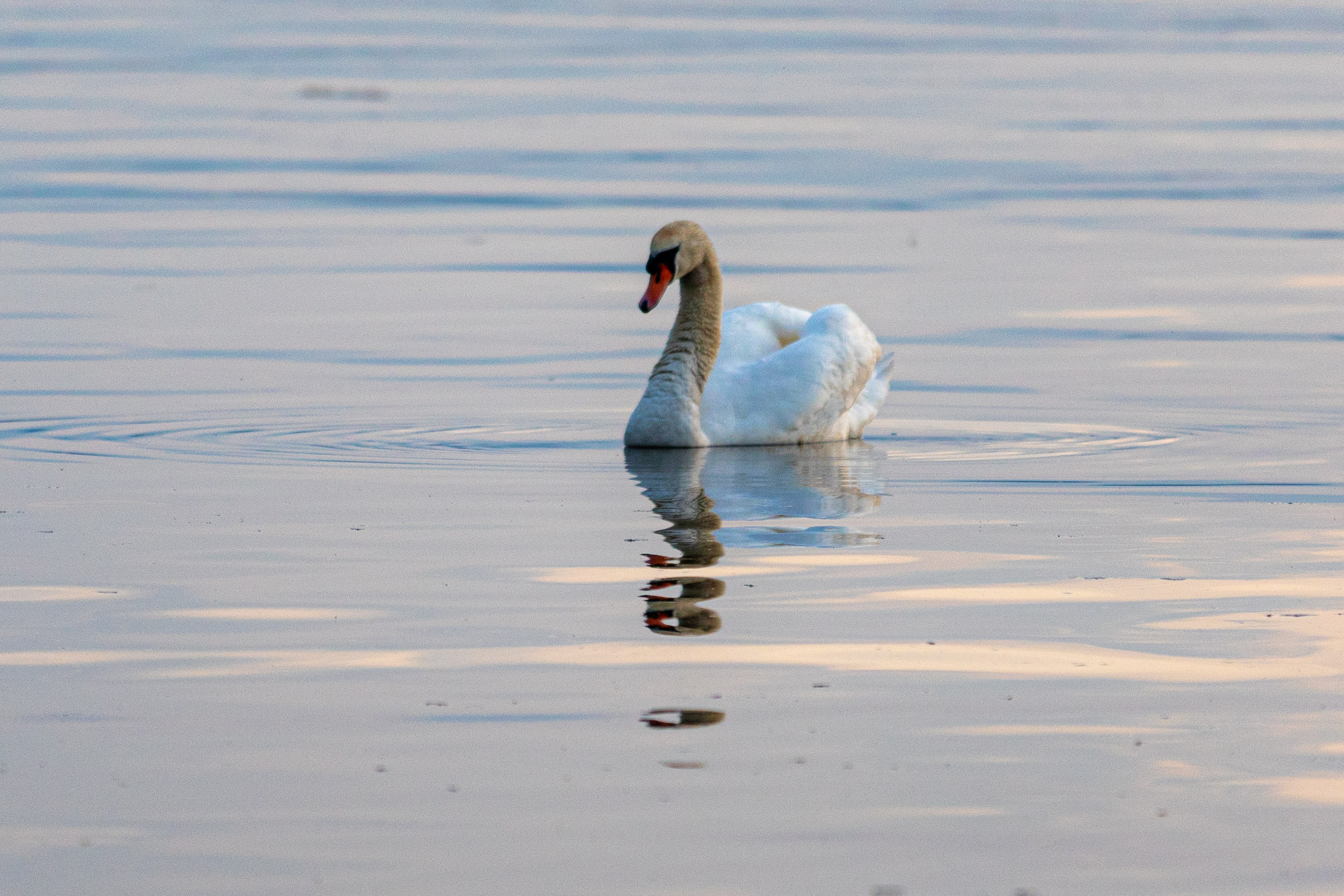 20230506201436 RD4 3903